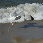 Сasa de vacaciones Smrekowa Osada *